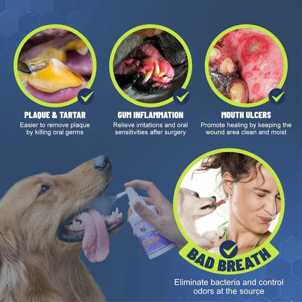 Teeth Cleaning Spray for Dogs &amp; Cats