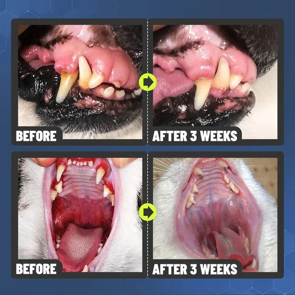 Teeth Cleaning Spray for Dogs &amp; Cats