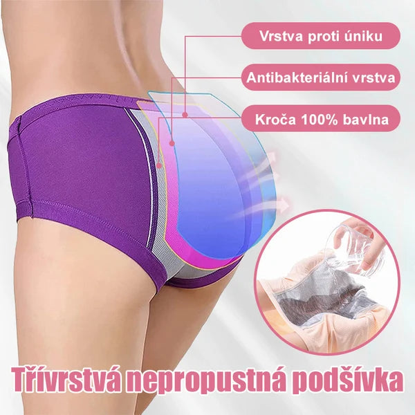 ⏳Last Day-Buy 1 Get 3 Packs!!🔥2026 Best-Selling🏆 HIGH WAIST LEAK PROOF PANTIES