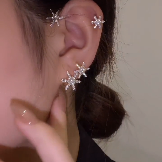 2021 Latest Hot sale Earrings