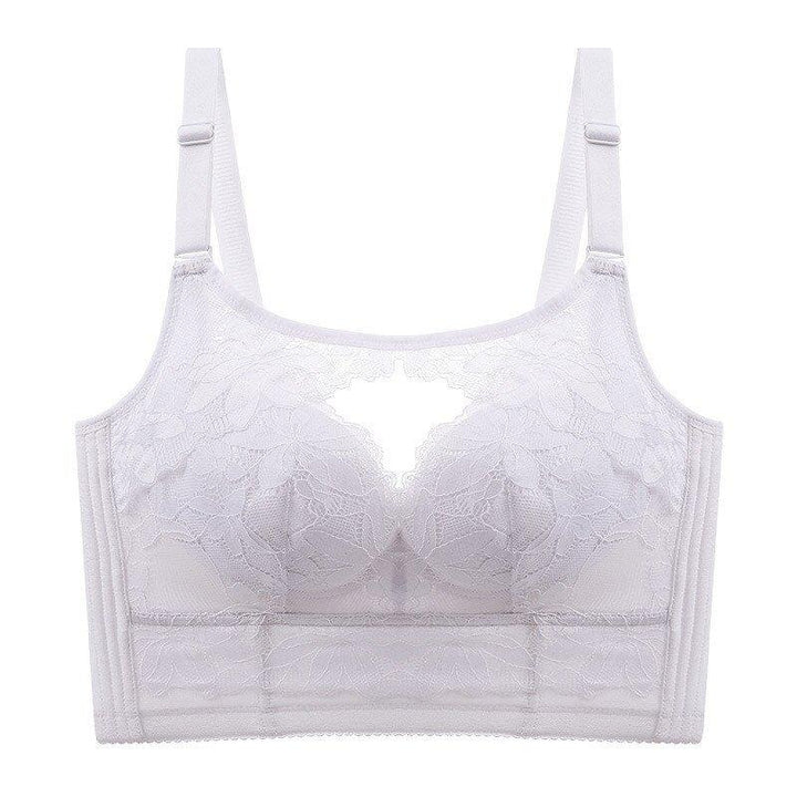 Full Cup Push Up Sexy Lace Gather Bra