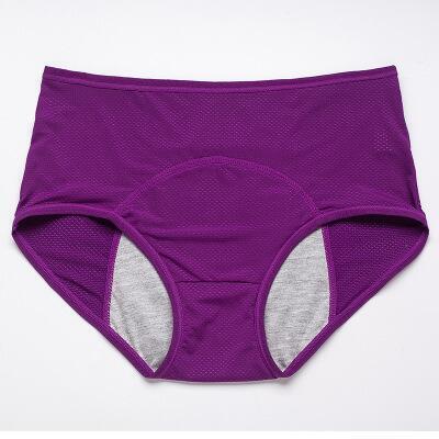⏳Last Day-Buy 1 Get 3 Packs!!🔥2026 Best-Selling🏆 HIGH WAIST LEAK PROOF PANTIES